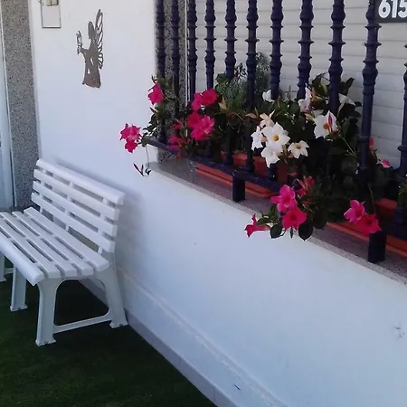 Encanto Del Laurel